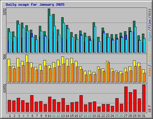 Daily usage for January 2025