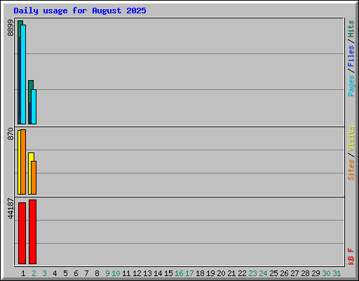 Daily usage for August 2025