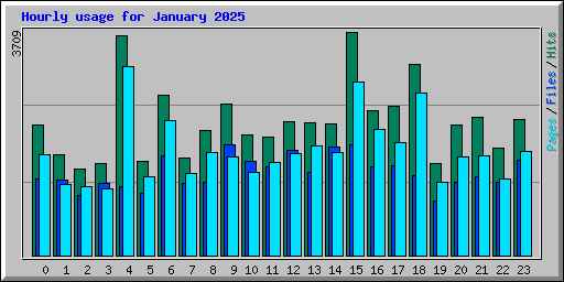 Hourly usage for January 2025