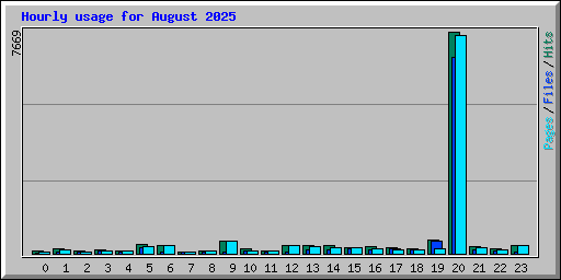 Hourly usage for August 2025