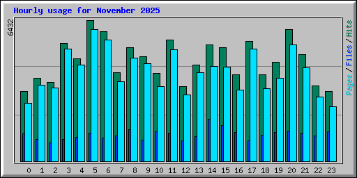 Hourly usage for November 2025