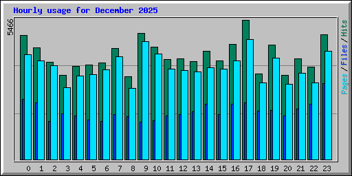 Hourly usage for December 2025