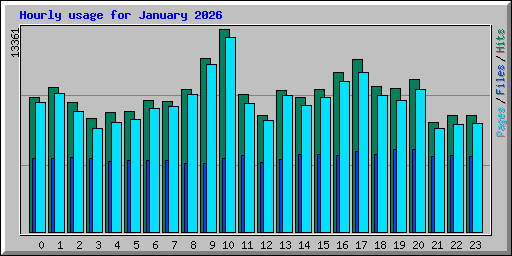 Hourly usage for January 2026