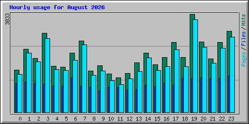 Hourly usage for August 2026